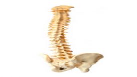 Hadleigh Osteopathy